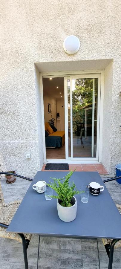 טולוז Studio Simone - Terrasse Et Jardin - Tv - Wifi מראה חיצוני תמונה